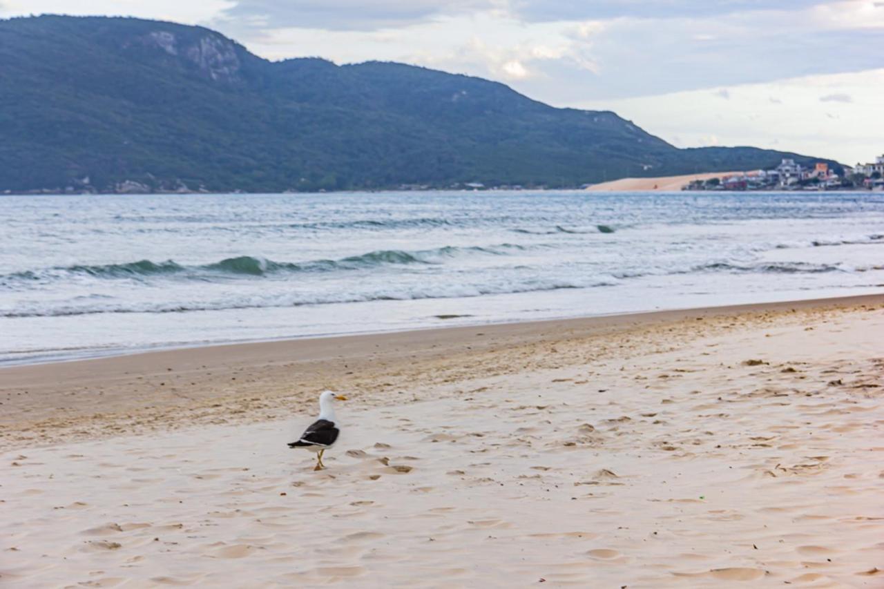 Cobertura Com Vista Mar Para 6 Hospedes, 150 Metros Da Praia Dos Ingleses Ing17 Florianópolis 外观 照片